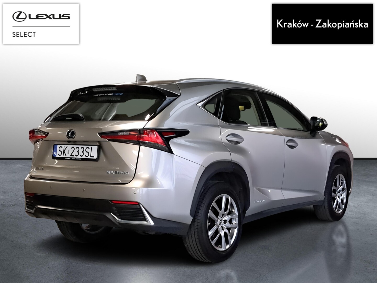 Lexus NX