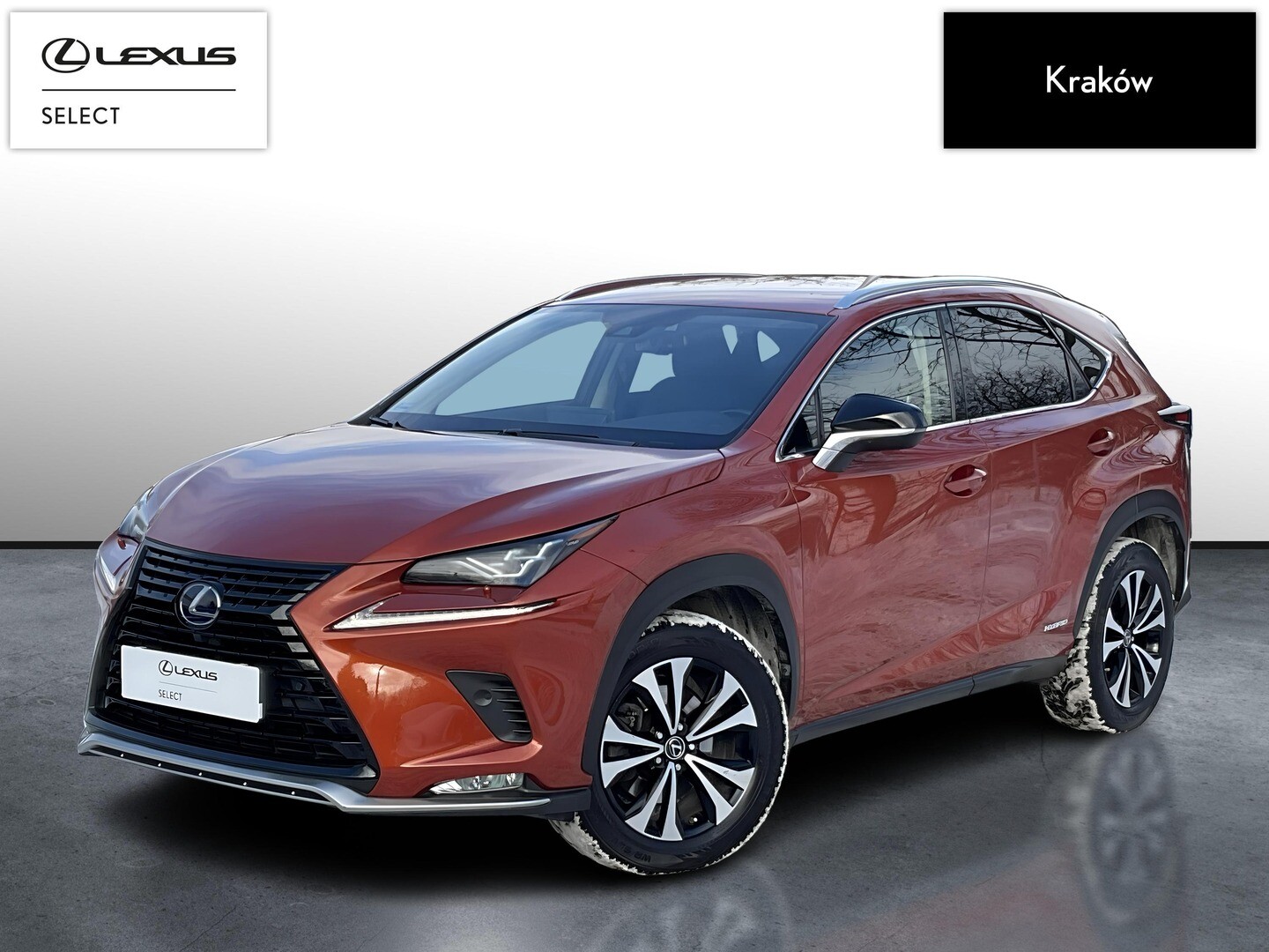 Lexus NX