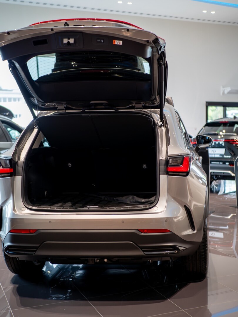 Lexus NX