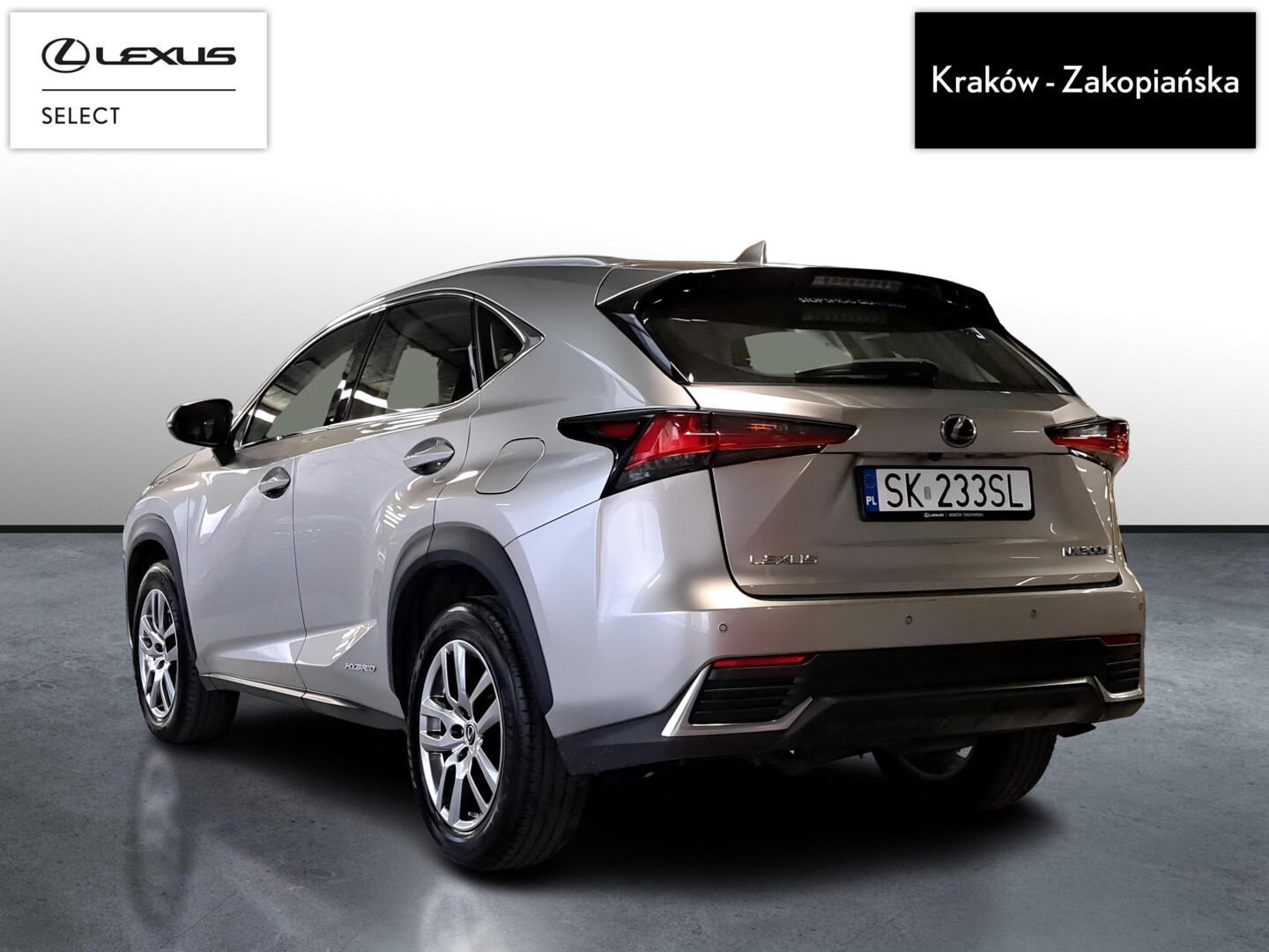 Lexus NX