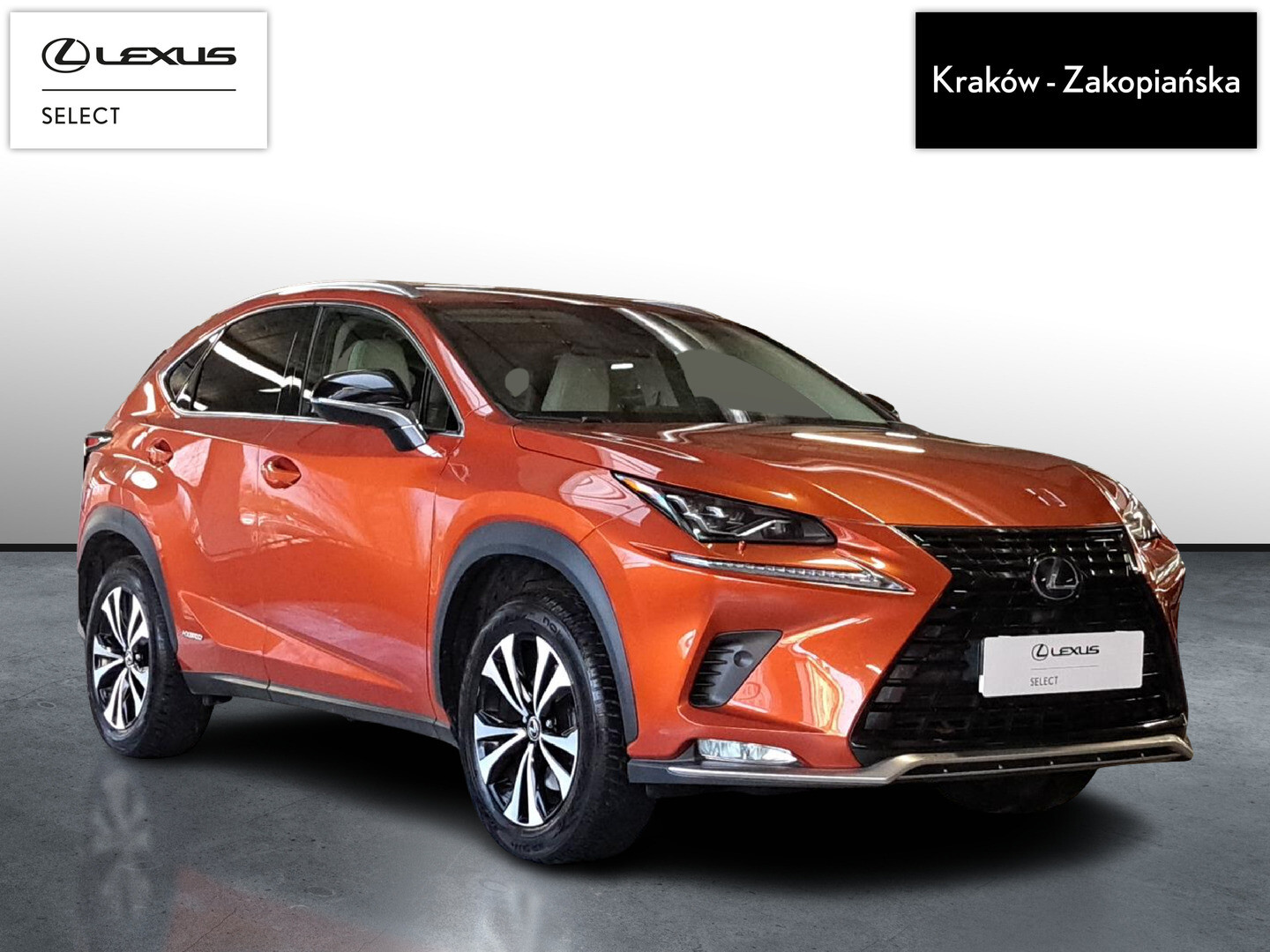 Lexus NX