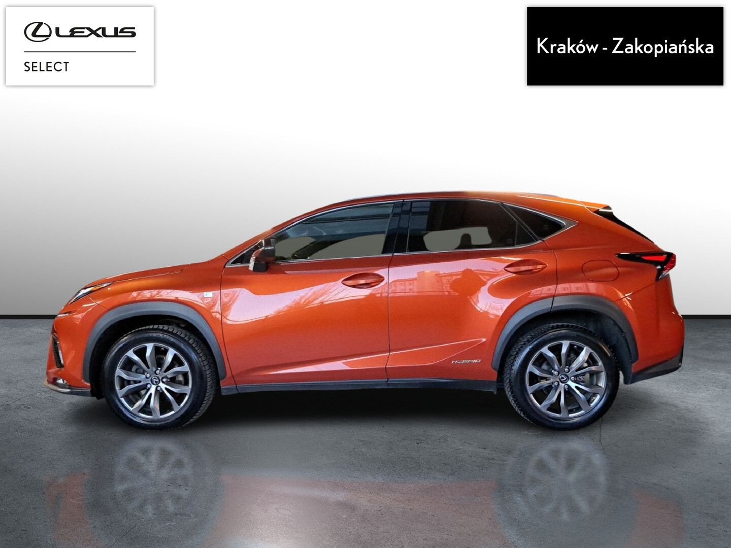 Lexus NX