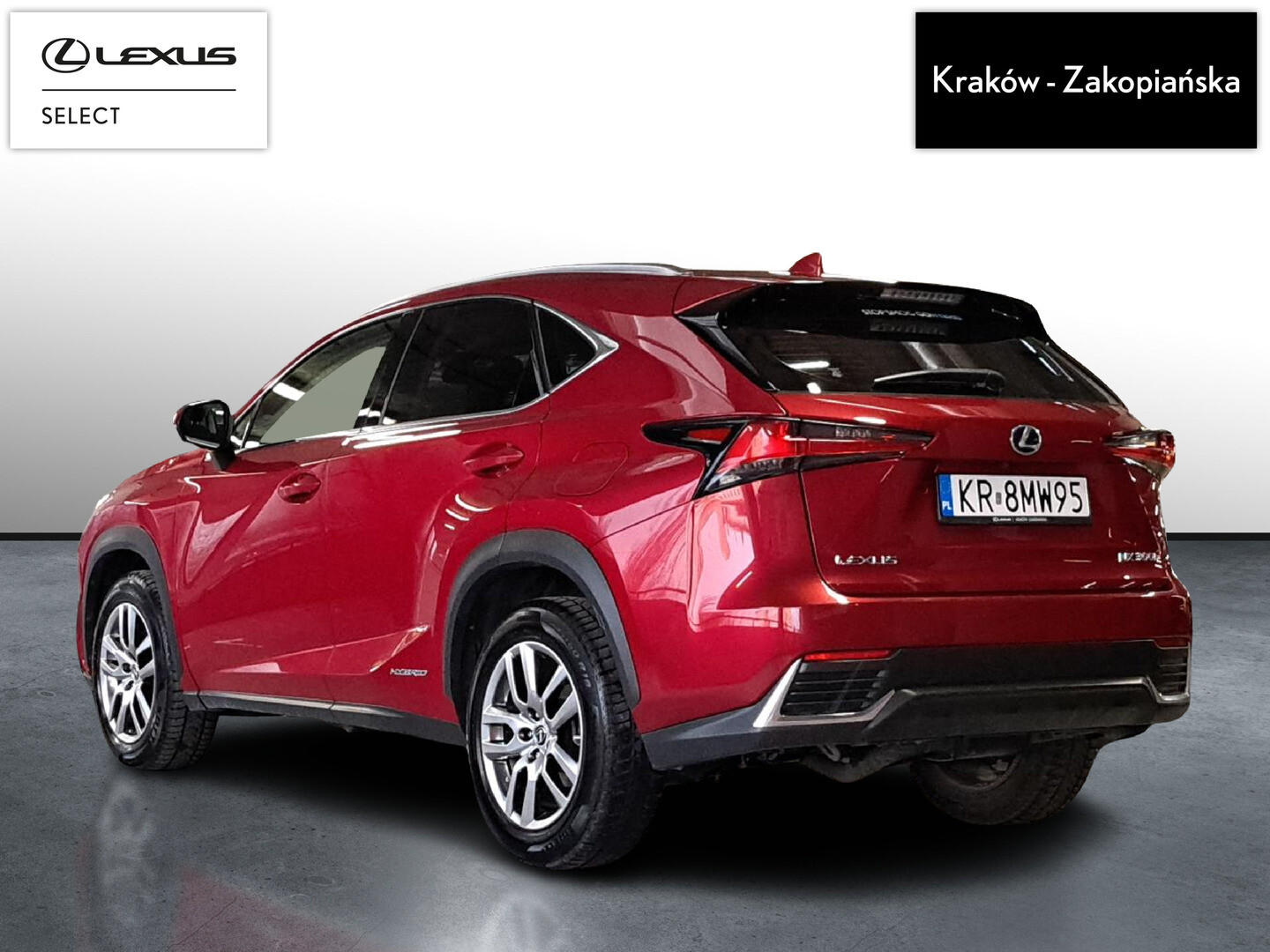 Lexus NX