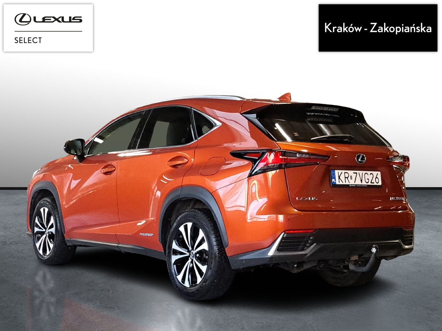 Lexus NX