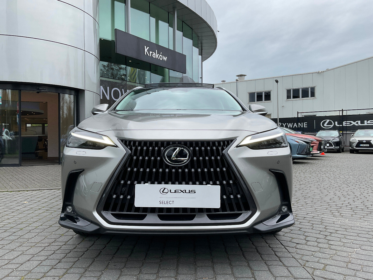 Lexus NX