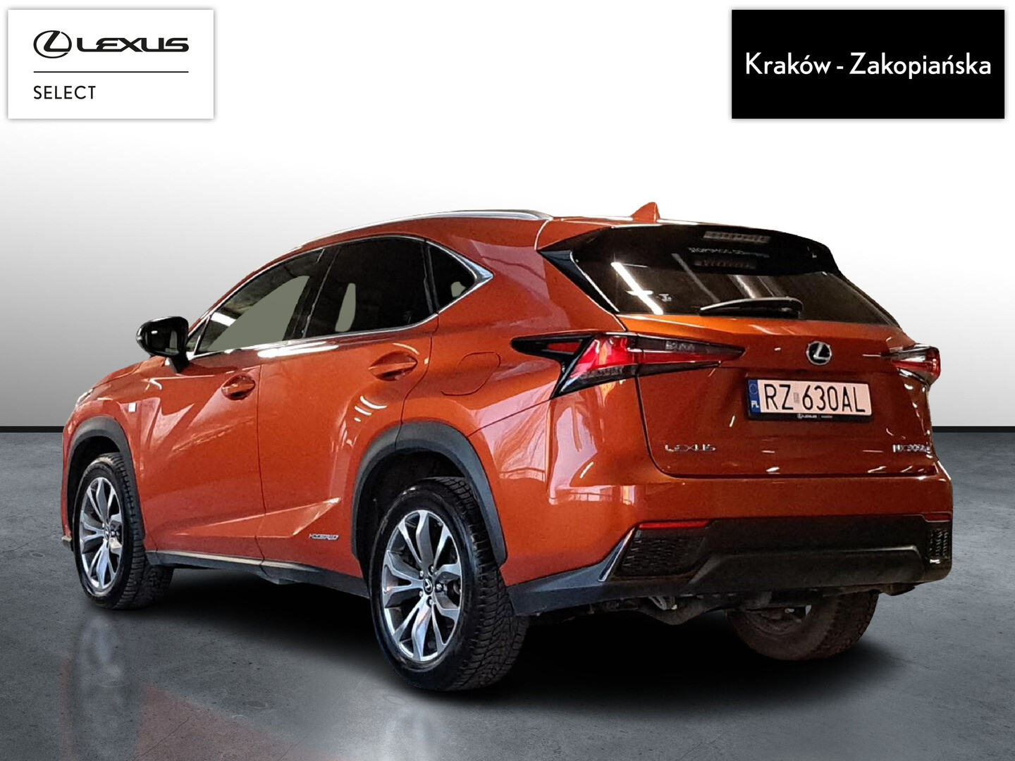 Lexus NX